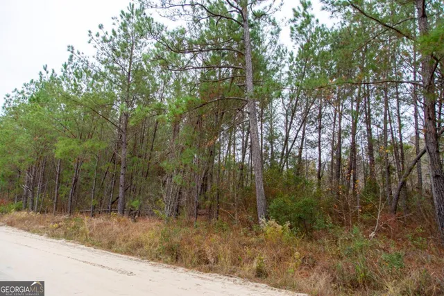 $69,900 | 0 Victory Circle, Lyons, GA 30436