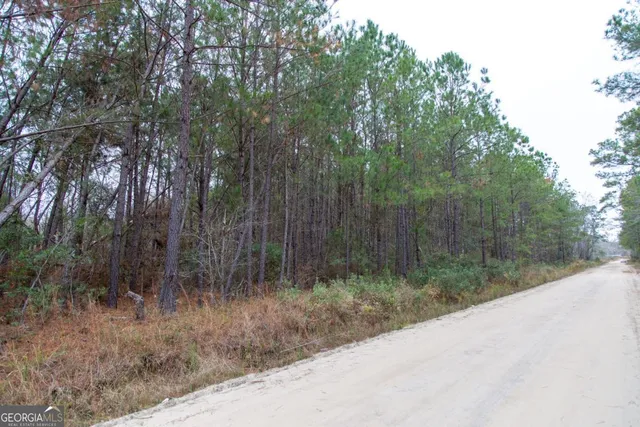 a view of a street view with large trees