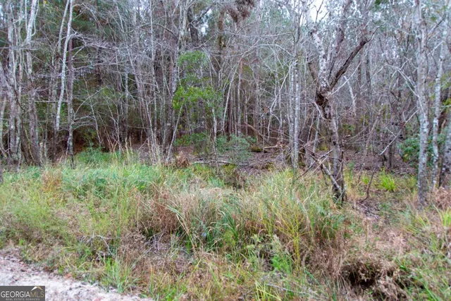 $69,900 | 0 Victory Circle, Lyons, GA 30436