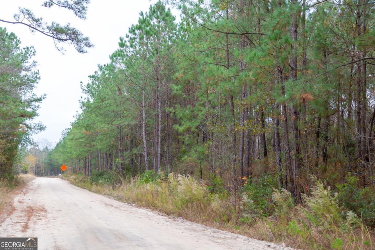 0 Victory Circle Lyons, GA 30436 - Photo 14 of 19 a view of a forest with a tree