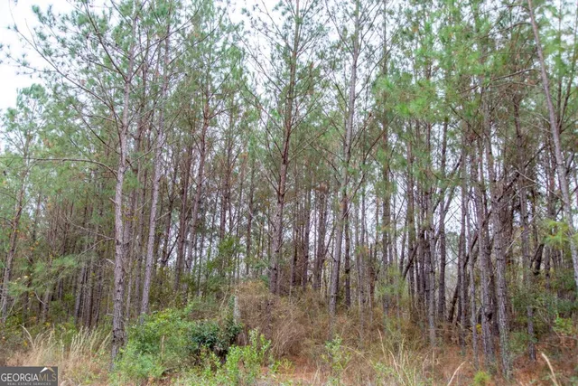 $69,900 | 0 Victory Circle, Lyons, GA 30436