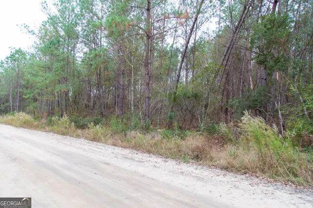 $69,900 | 0 Victory Circle, Lyons, GA 30436