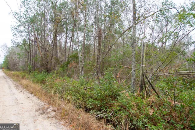 $69,900 | 0 Victory Circle, Lyons, GA 30436