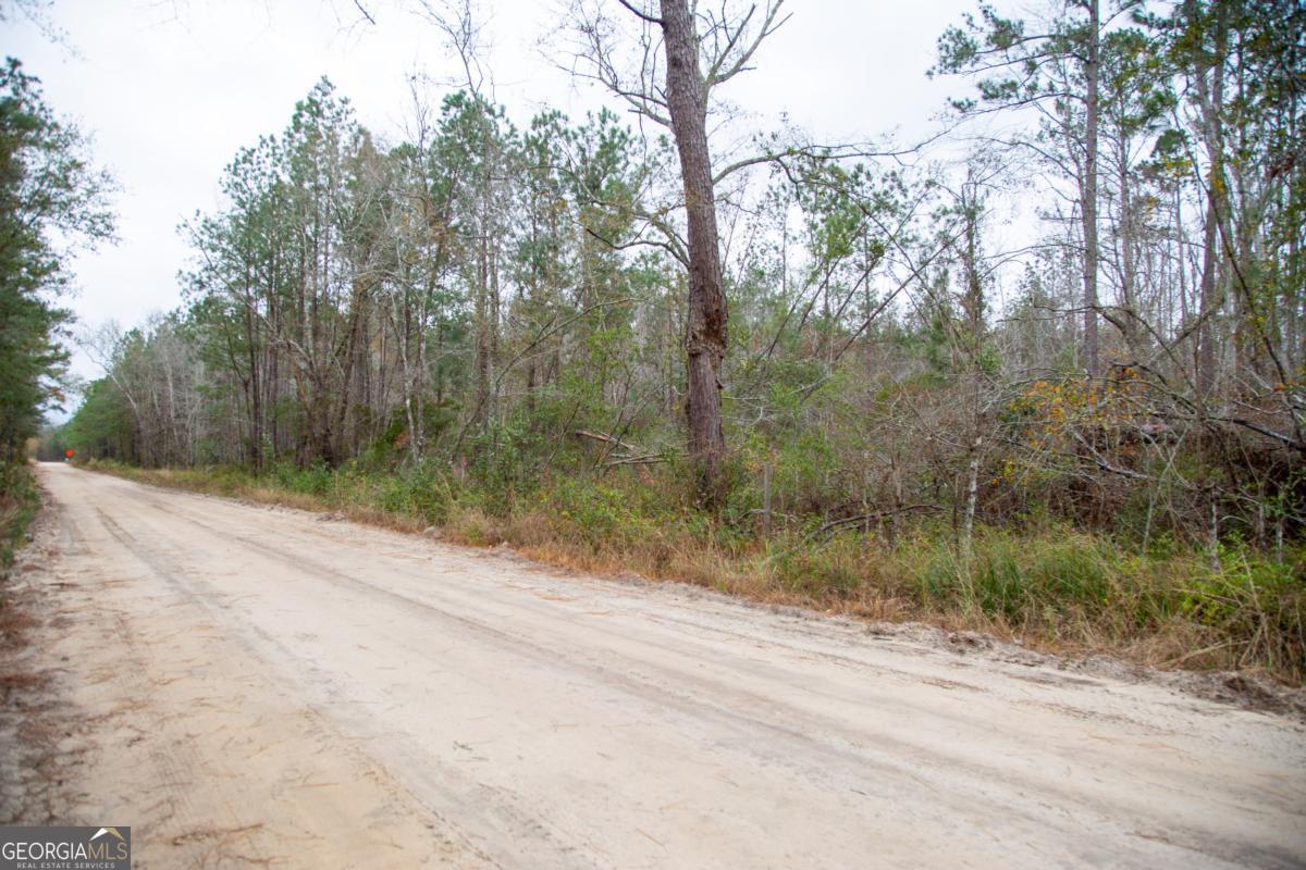 0 Victory Circle Lyons, GA 30436 - Photo 19 of 19 a view of a road from a yard