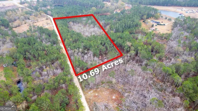 a view of street with tall trees