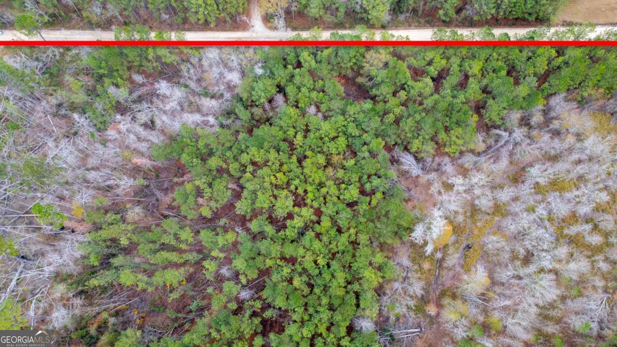 0 Victory Circle Lyons, GA 30436 - Photo 9 of 19 a view of a garden and pathway