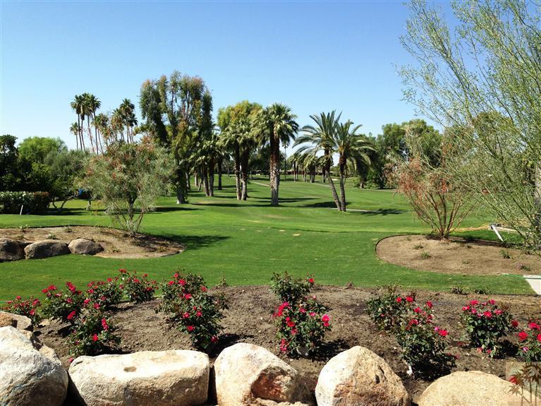 71172 La Paz Road Rancho Mirage, CA 92270 - Photo 41 of 51 a view of a garden with plants and large trees