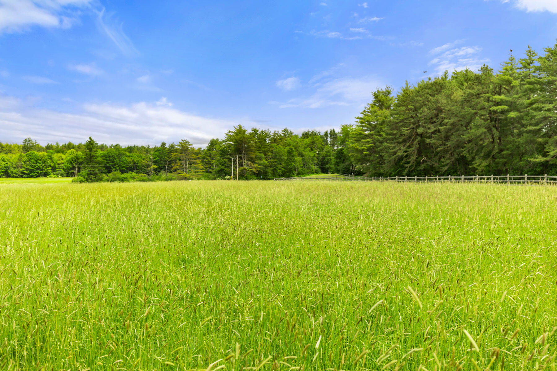 50 Pond Road South Berwick, ME 03908 - Photo 39 of 63 39