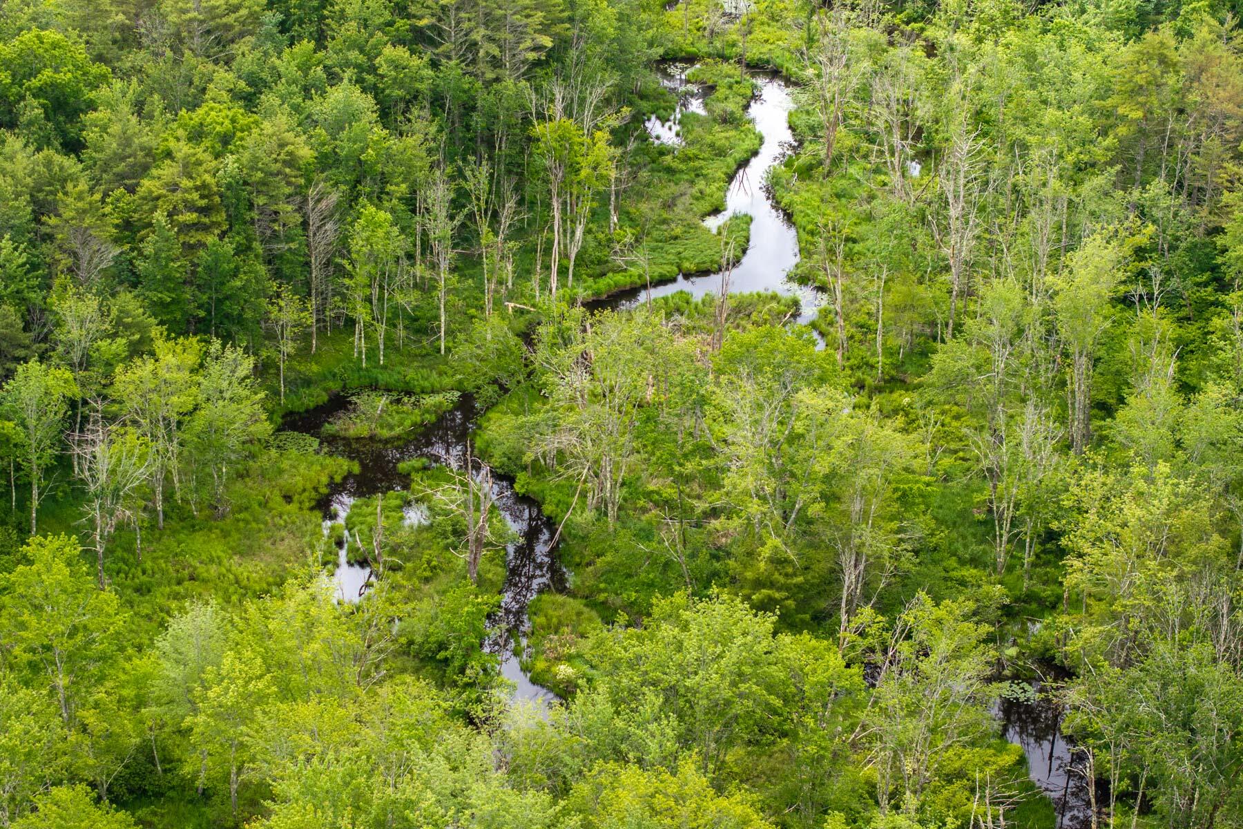 50 Pond Road South Berwick, ME 03908 - Photo 40 of 63 40