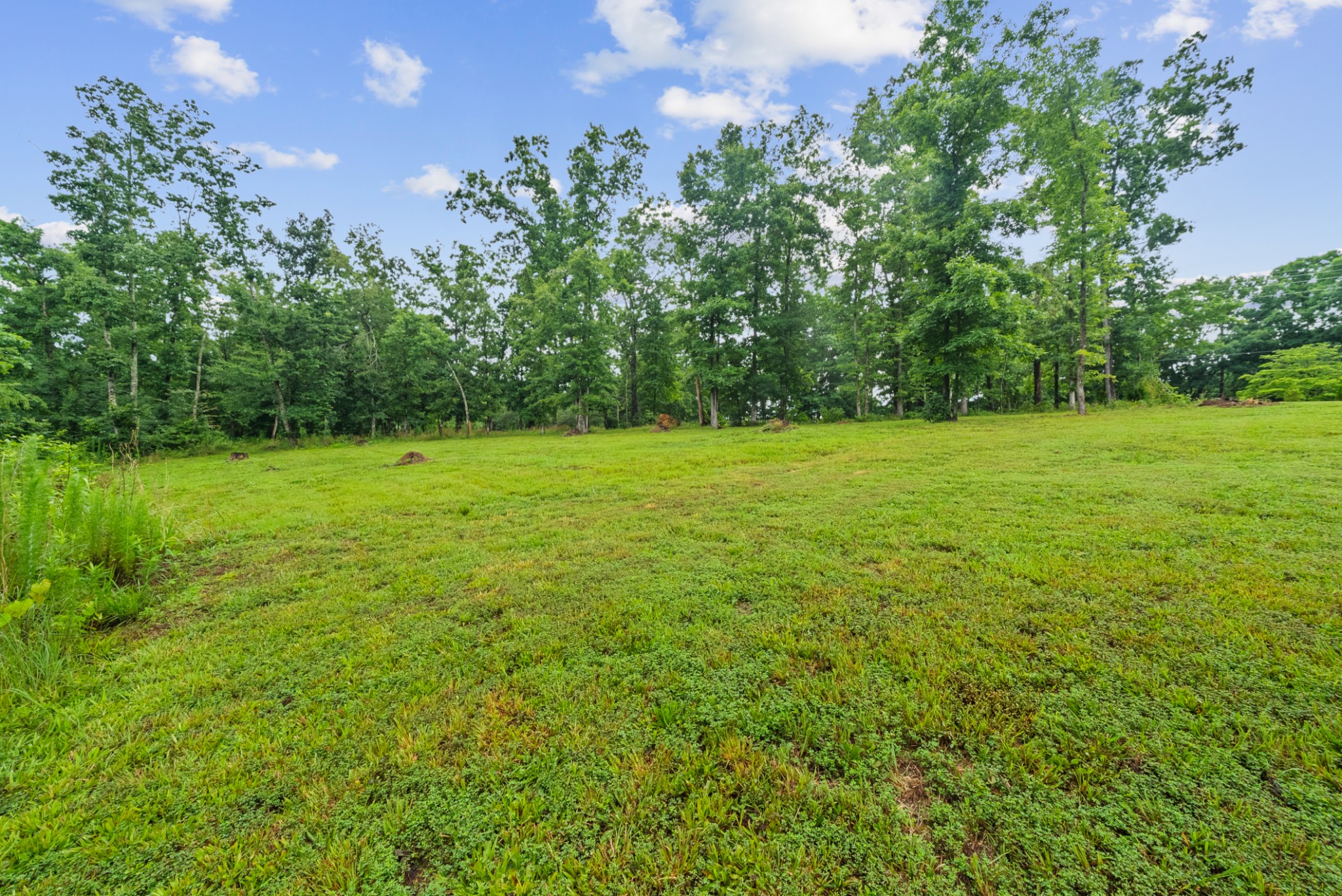 217 Rockhouse Road Hohenwald, TN 38462 - Photo 59 of 78