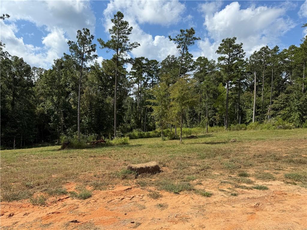 21 Teekell Road Boyce, LA 71409 - Photo 2 of 16 Gallery Image 2
