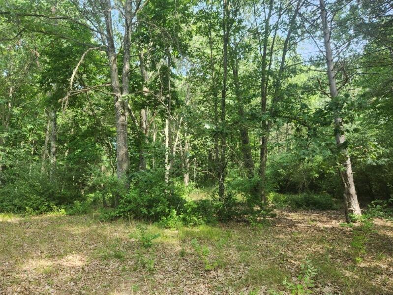 7359 South Riverbend Road Branch, MI 49402 - Photo 3 of 8 Lot 52