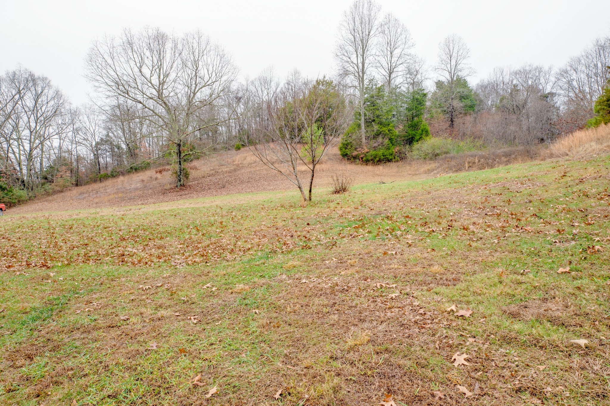 302 Wades Branch Road Centerville, TN 37033 - Photo 36 of 48 Gallery Image 36
