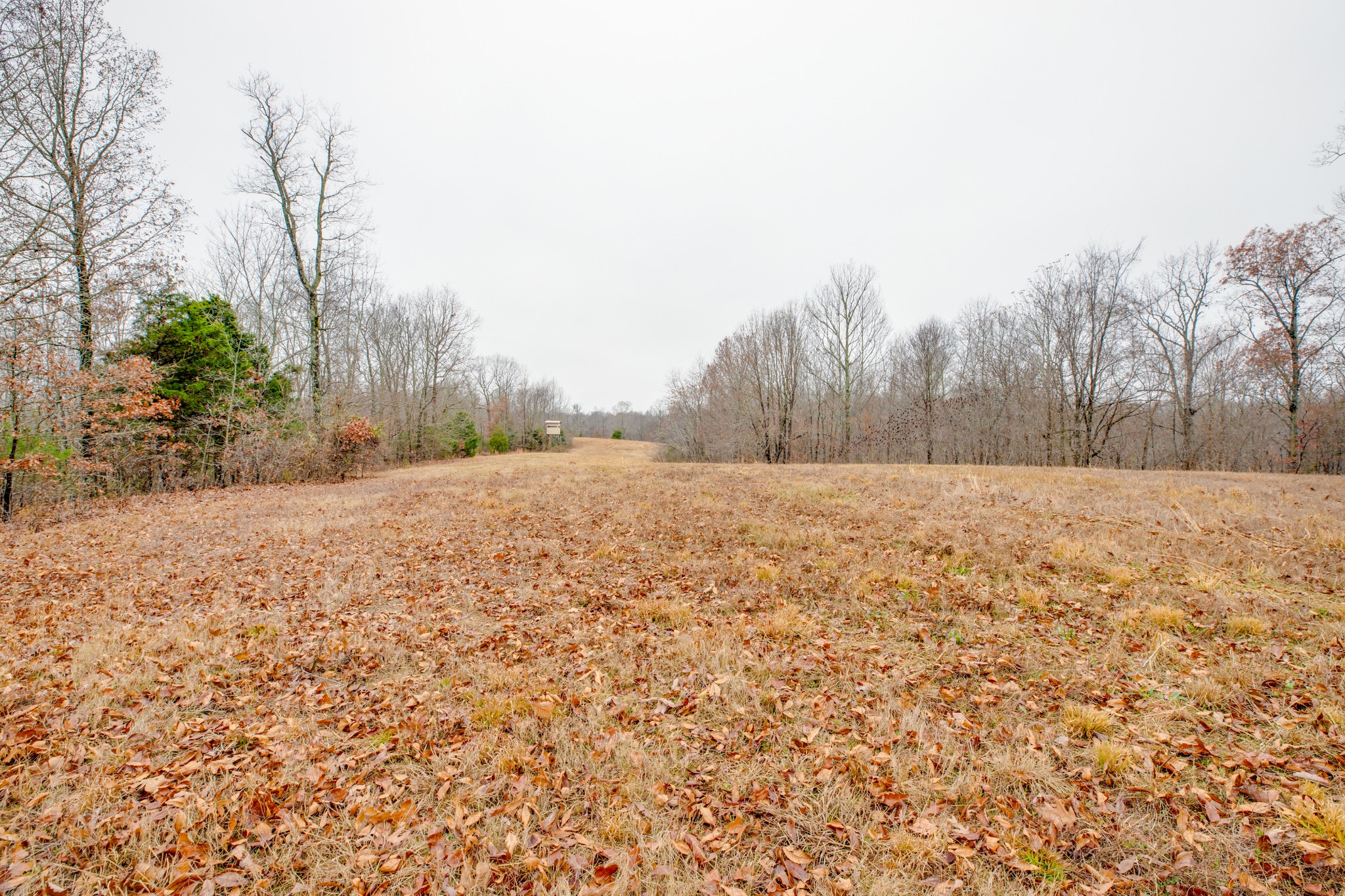 302 Wades Branch Road Centerville, TN 37033 - Photo 40 of 48 Gallery Image 40