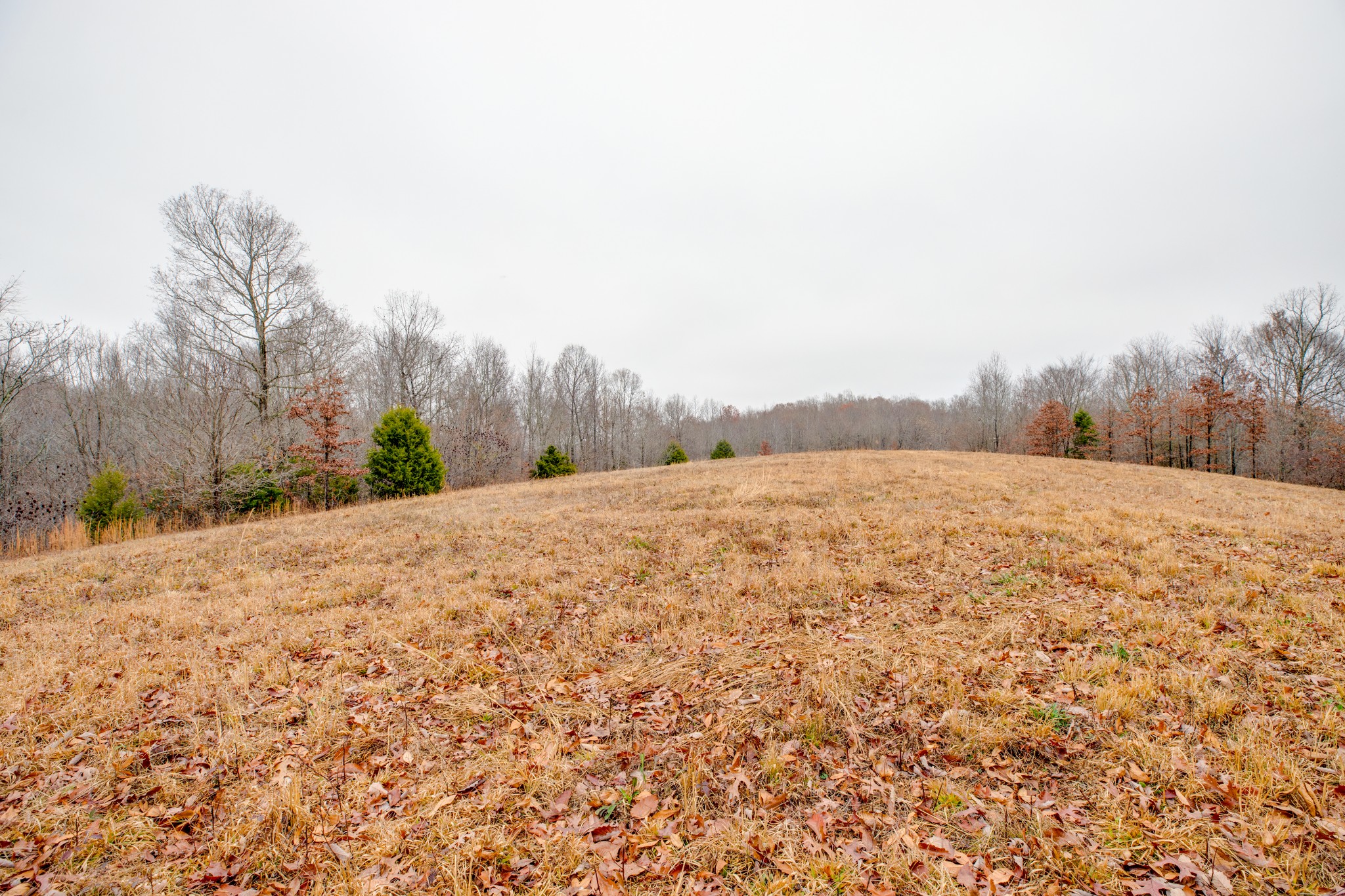 302 Wades Branch Road Centerville, TN 37033 - Photo 41 of 48 Gallery Image 41