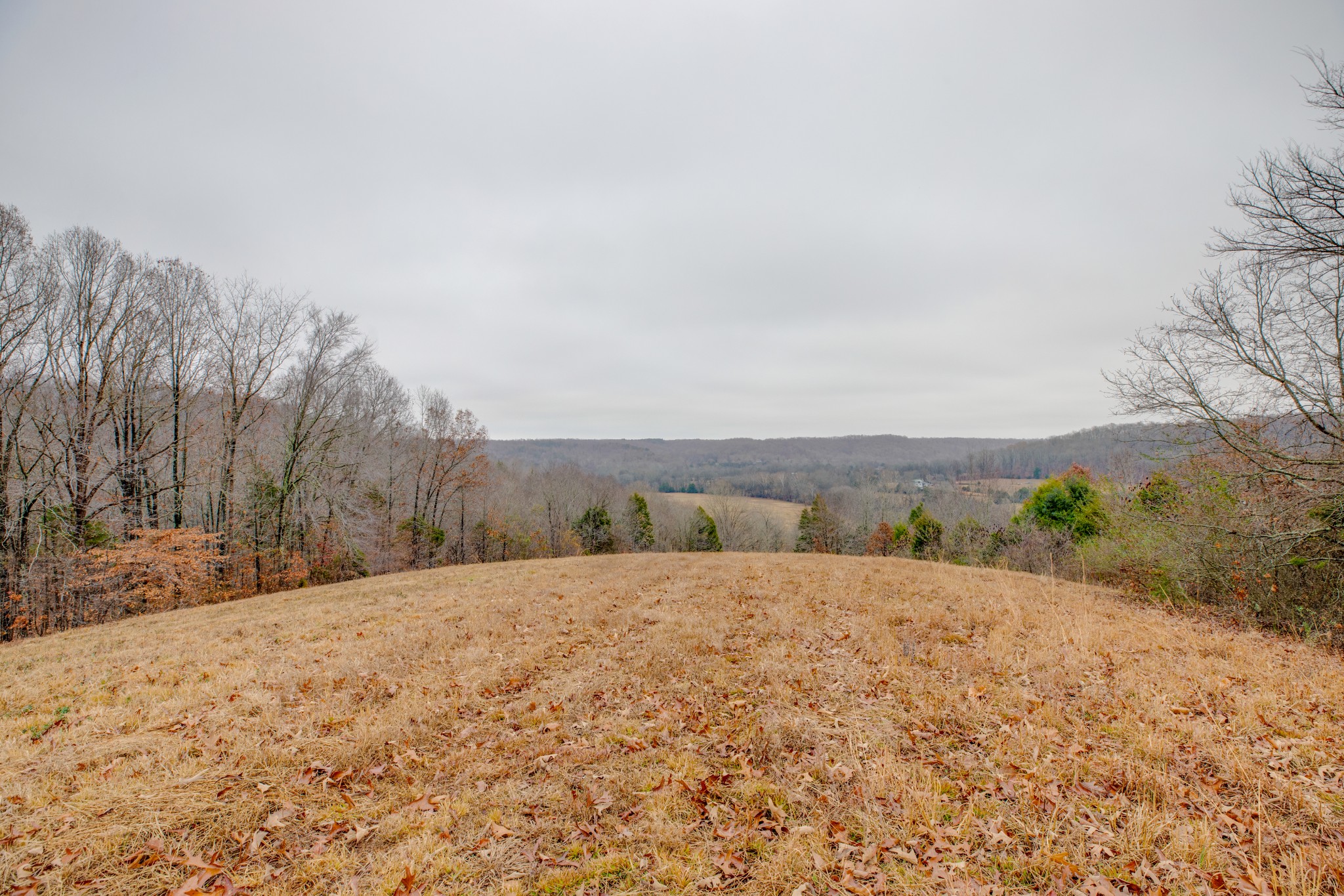 302 Wades Branch Road Centerville, TN 37033 - Photo 43 of 48 Gallery Image 43