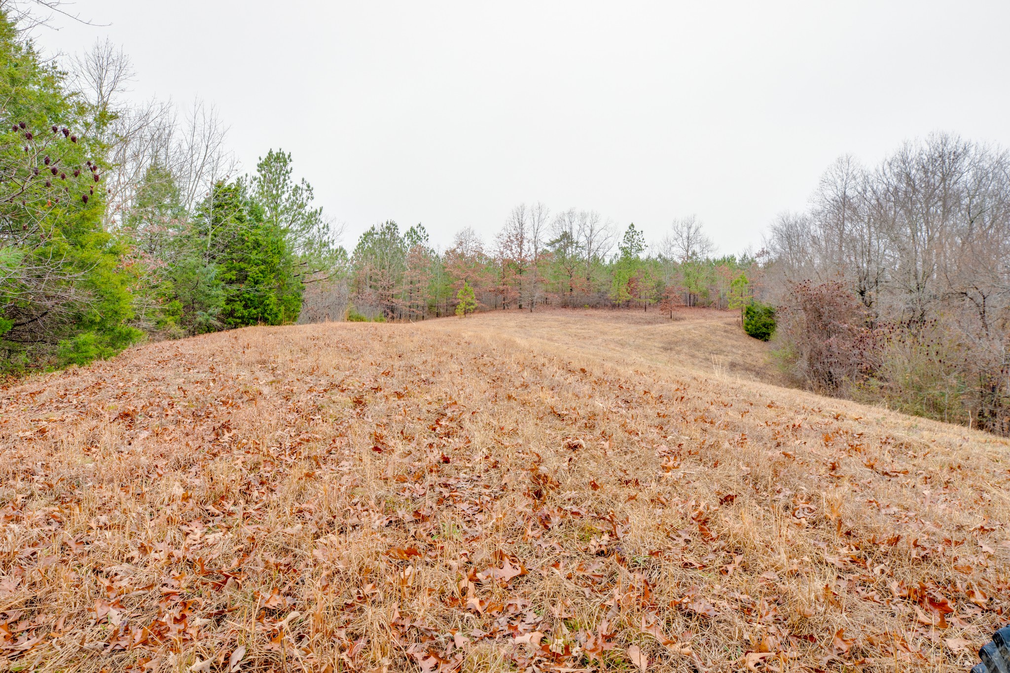 302 Wades Branch Road Centerville, TN 37033 - Photo 44 of 48 Gallery Image 44