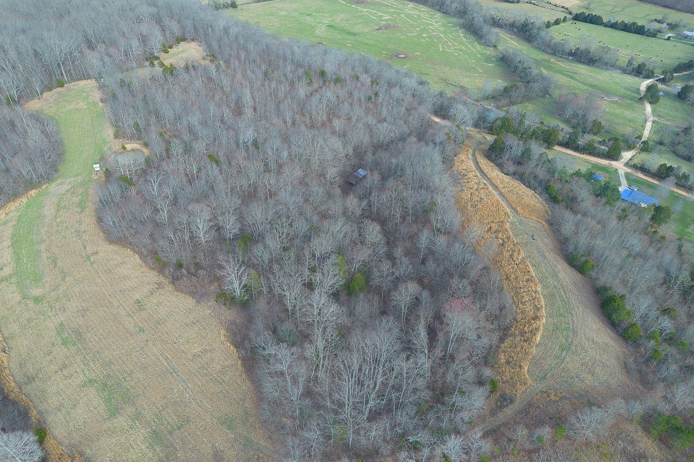 302 Wades Branch Road Centerville, TN 37033 - Photo 45 of 48 Gallery Image 45
