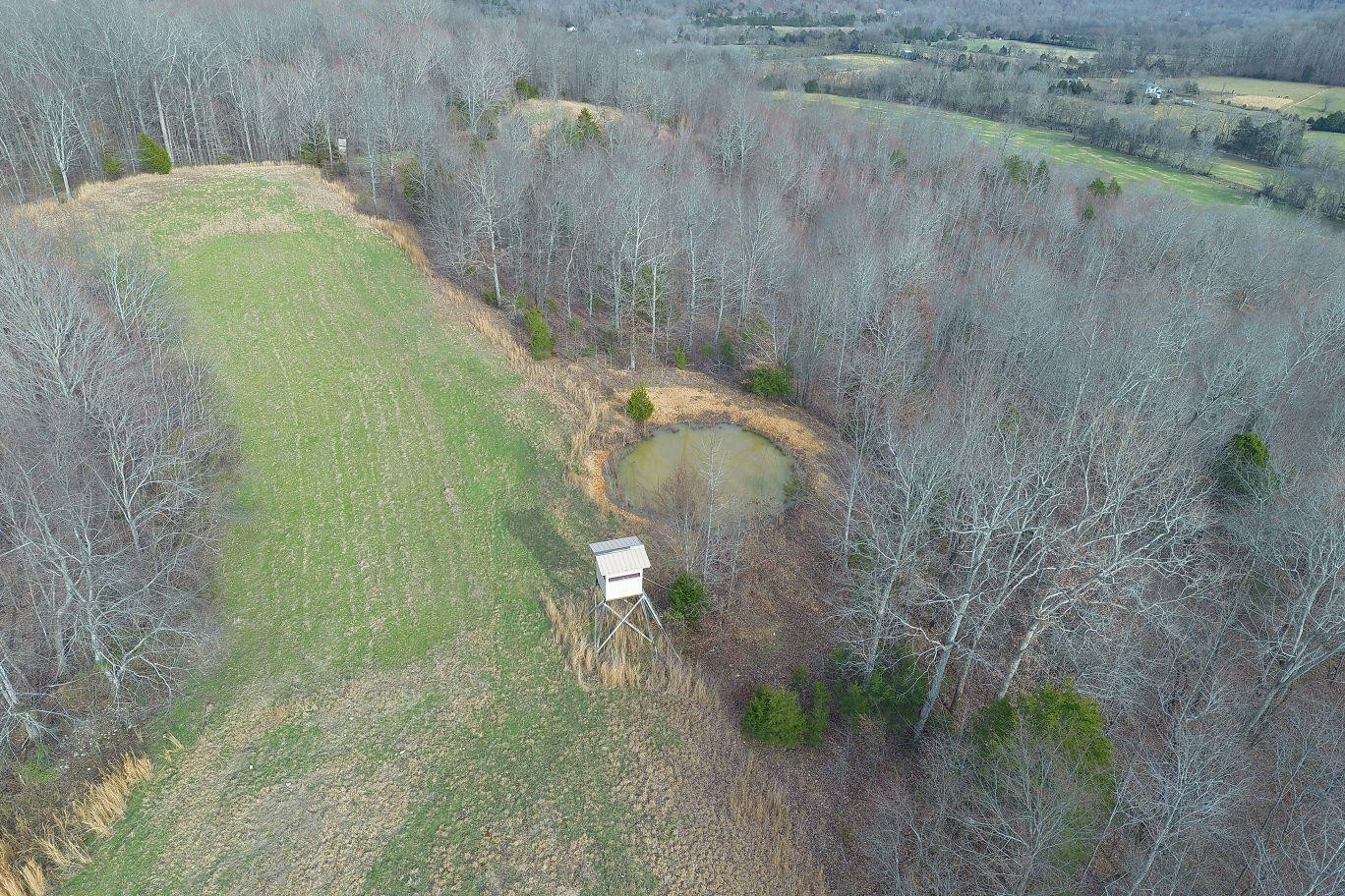 302 Wades Branch Road Centerville, TN 37033 - Photo 47 of 48 Gallery Image 47