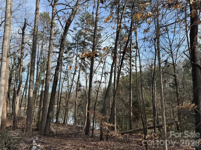 a view of a backyard with trees