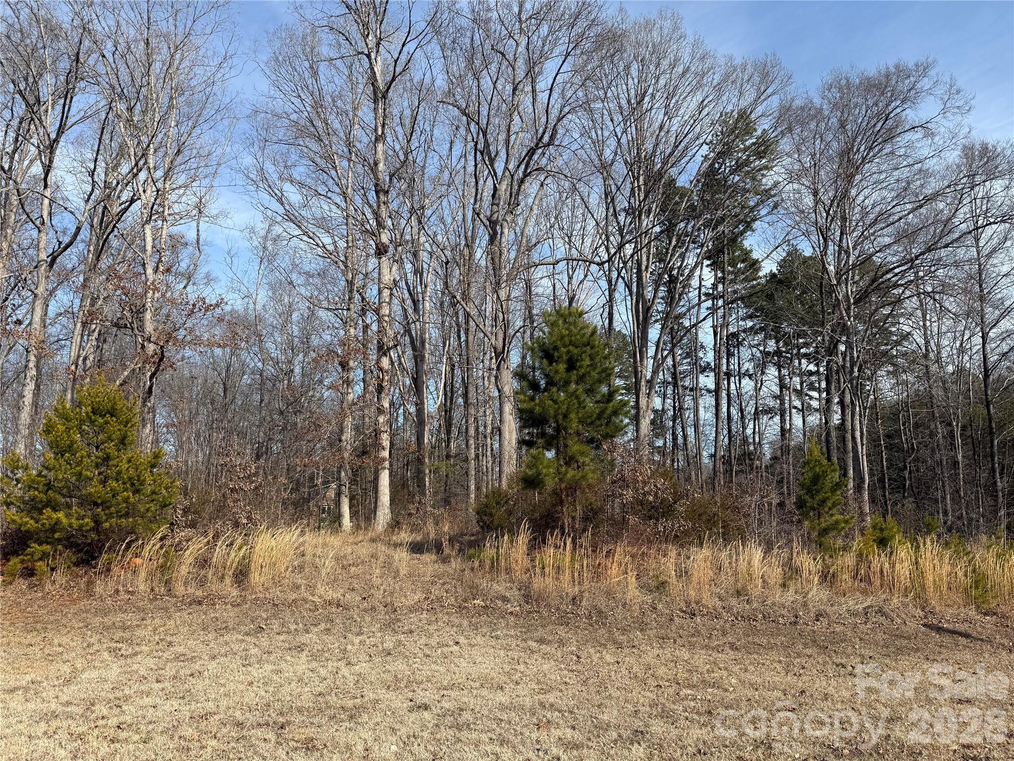 868 Bellegray Road Clover, SC 29710 - Photo 6 of 12