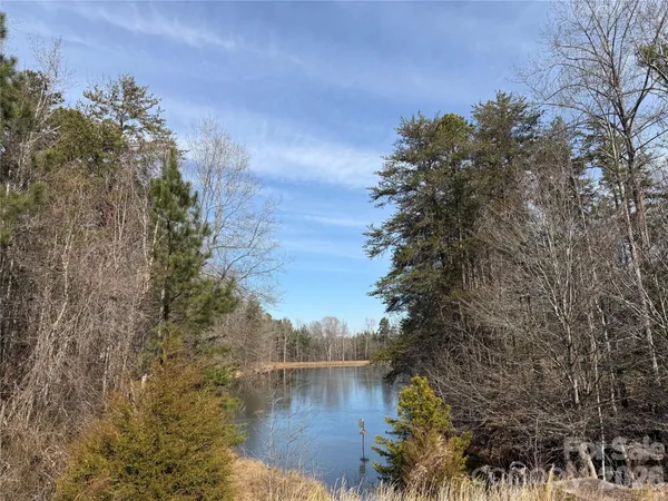 a view of river covered with trees in the background
