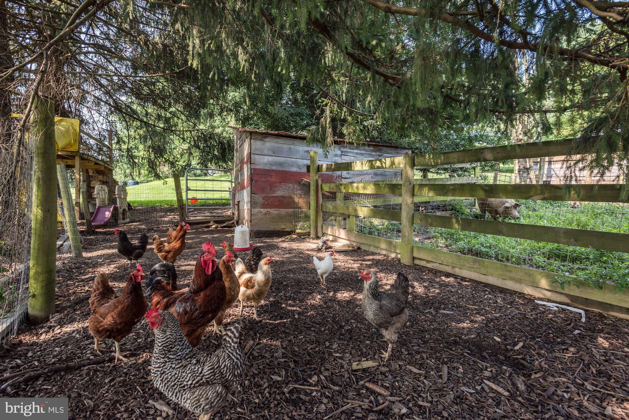 2628 Johnson Mill Road Forest Hill, MD 21050 - Photo 25 of 31 Chicken Coop