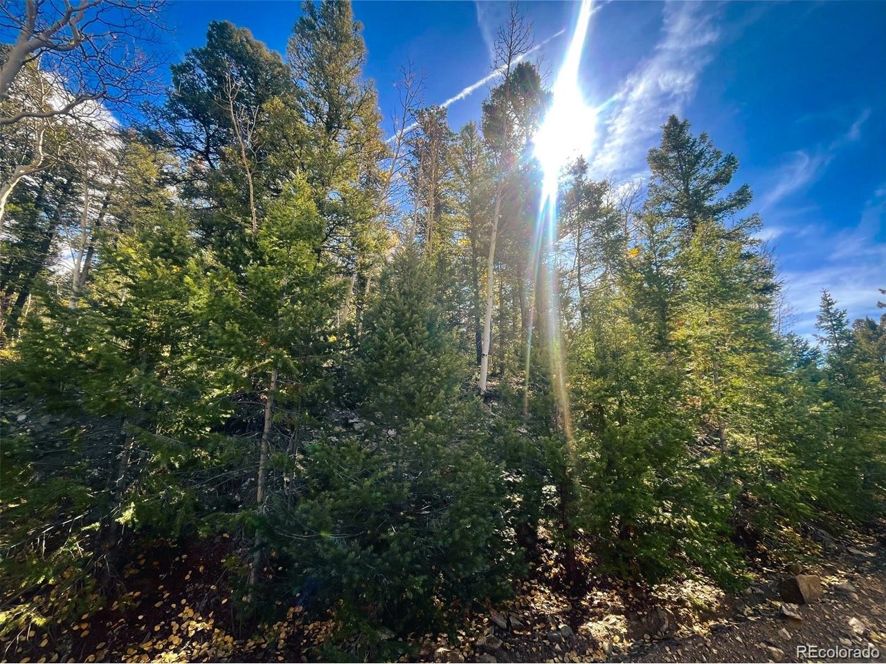 6187 Starkbeather Road San Luis, CO 81152 - Photo 12 of 18 a view of a city with flower plants