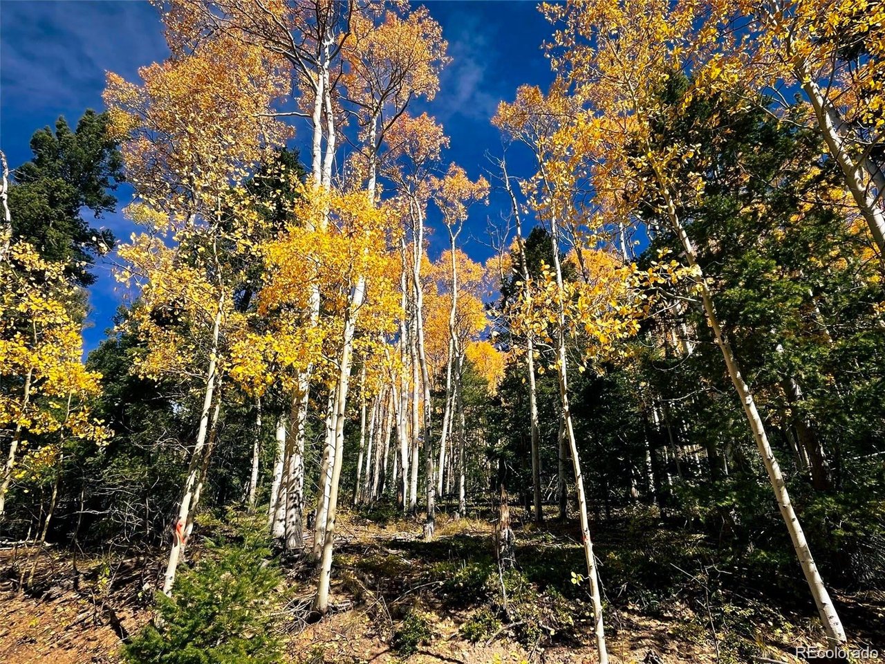 6187 Starkbeather Road San Luis, CO 81152 - Photo 18 of 18 a backyard of a house