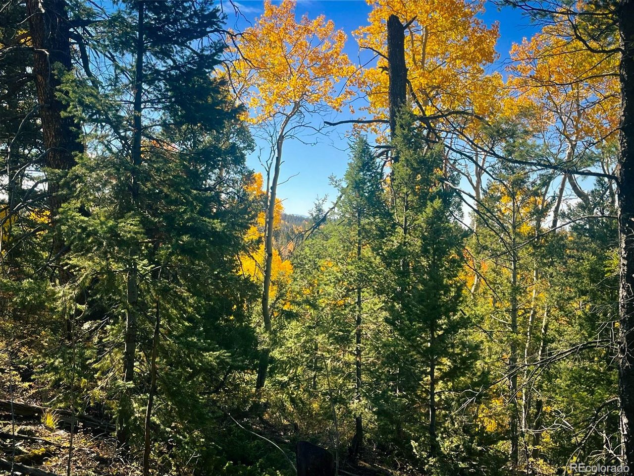 6187 Starkbeather Road San Luis, CO 81152 - Photo 4 of 18 a view of a tree