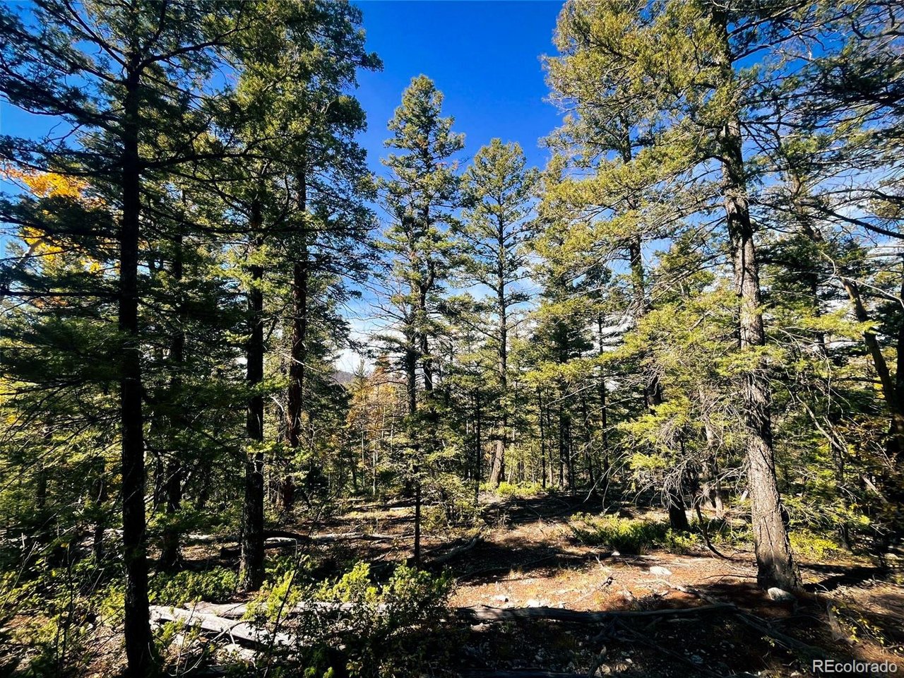 6187 Starkbeather Road San Luis, CO 81152 - Photo 6 of 18 a view of a city