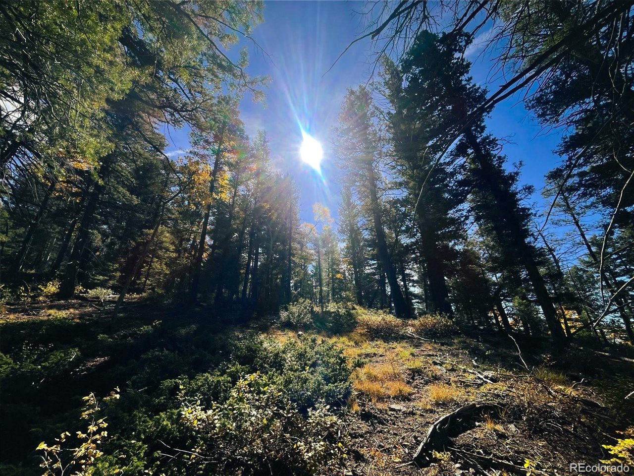 6187 Starkbeather Road San Luis, CO 81152 - Photo 8 of 18