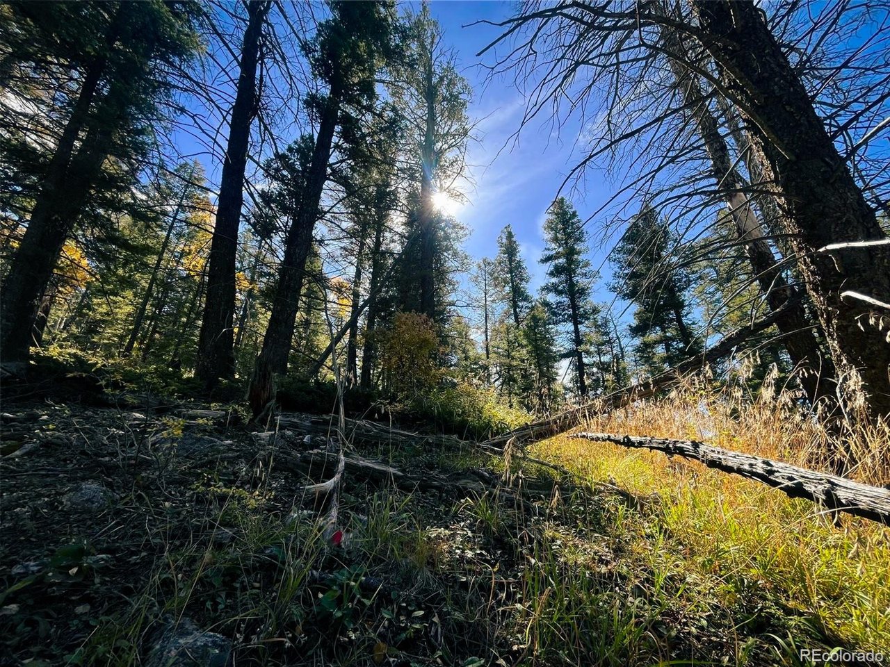 6187 Starkbeather Road San Luis, CO 81152 - Photo 9 of 18 a view of yard with green space