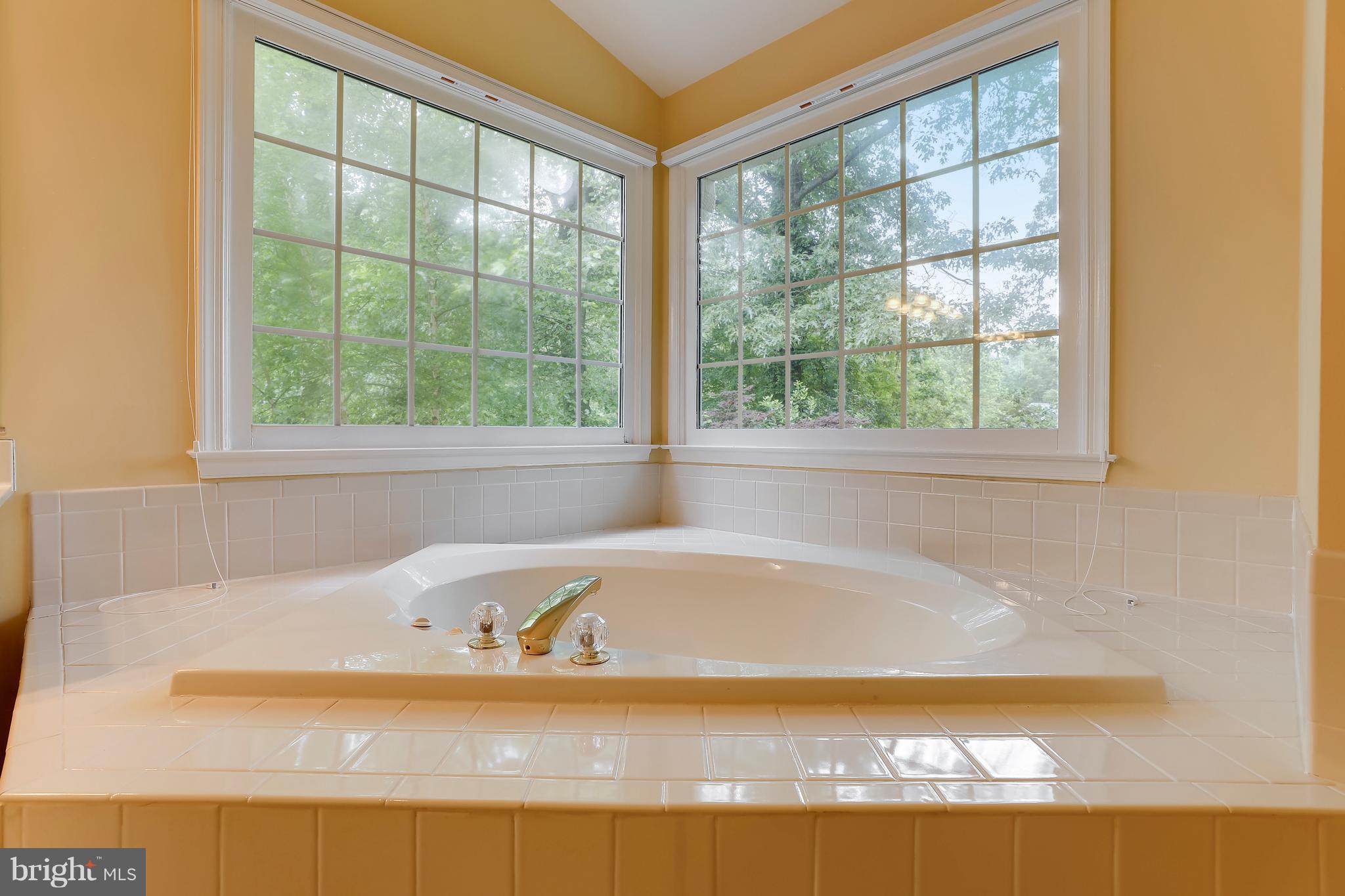 1768 Rochester Street Crofton, MD 21114 - Photo 17 of 30 Master Bath with inviting soaking tub