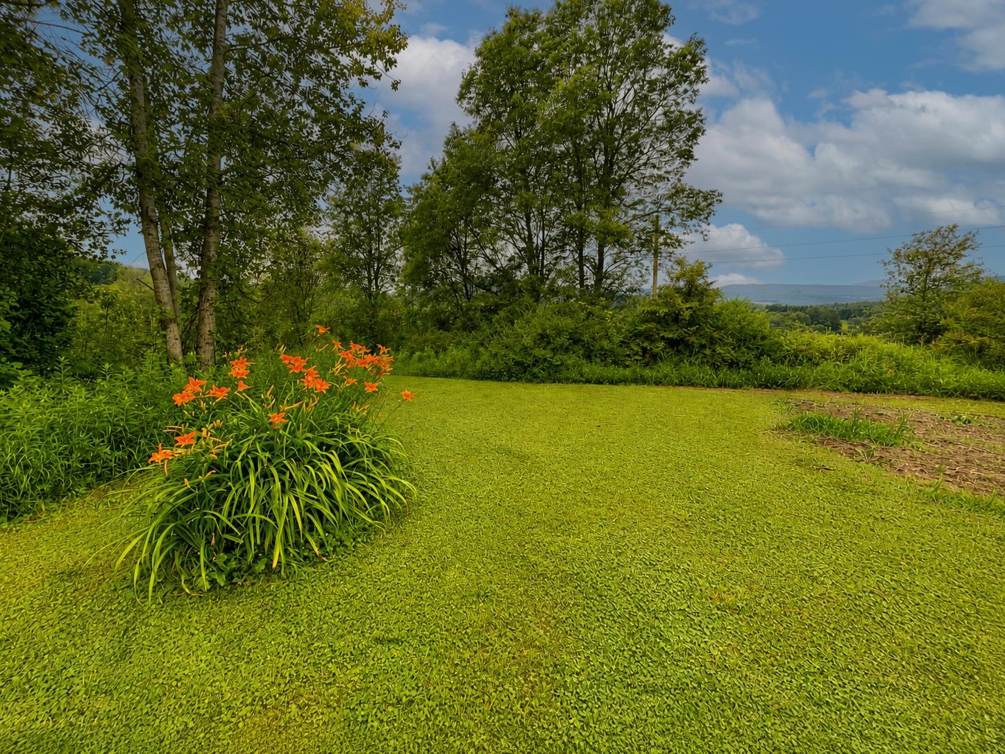 561 Sheldon Brook Road Lyndon, VT 05851 - Photo 36 of 40 Gallery Image 36