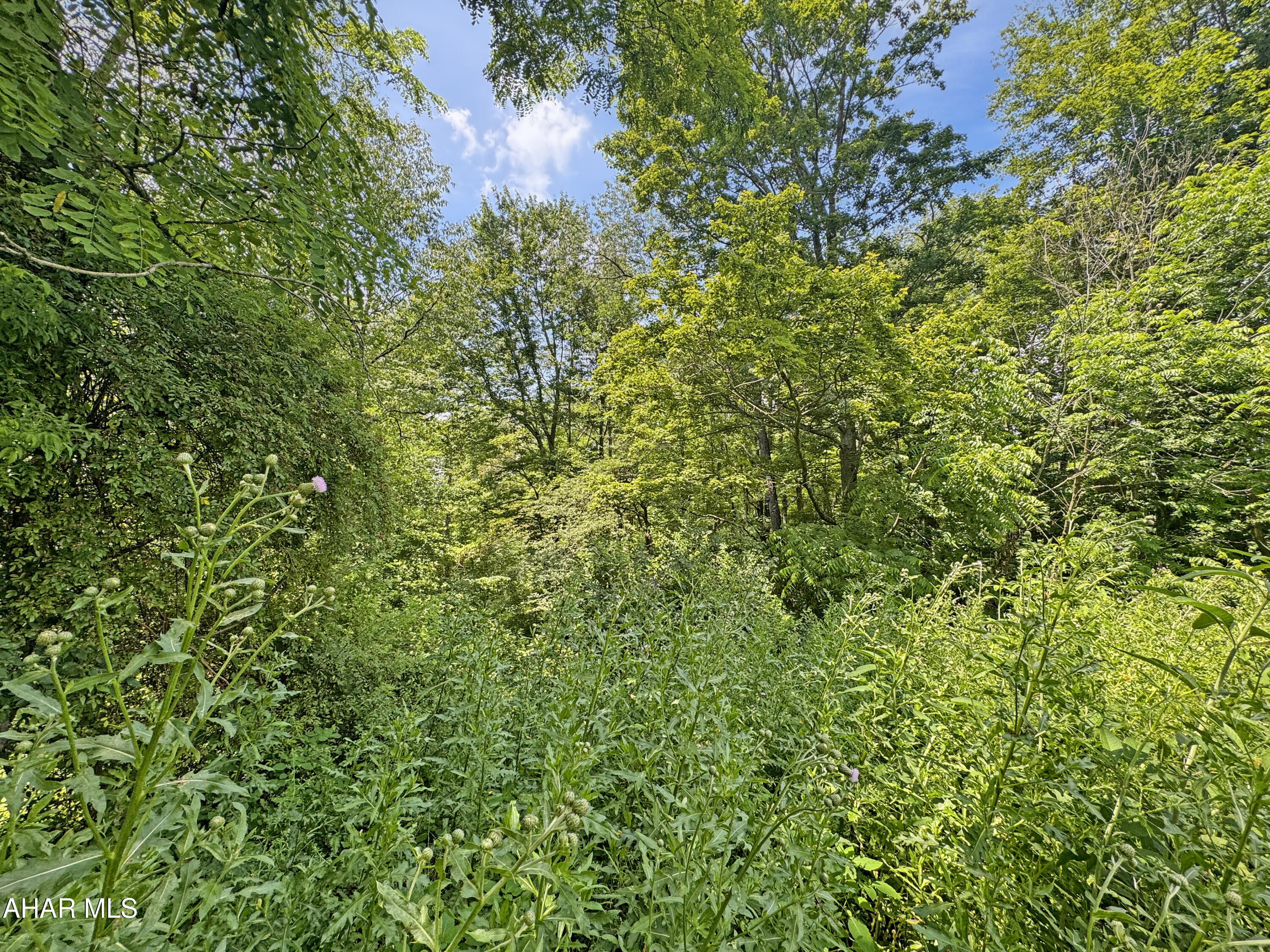 Lot 3 Acre Road Johnstown, PA 15904 - Photo 3 of 3 a view of a lush green forest