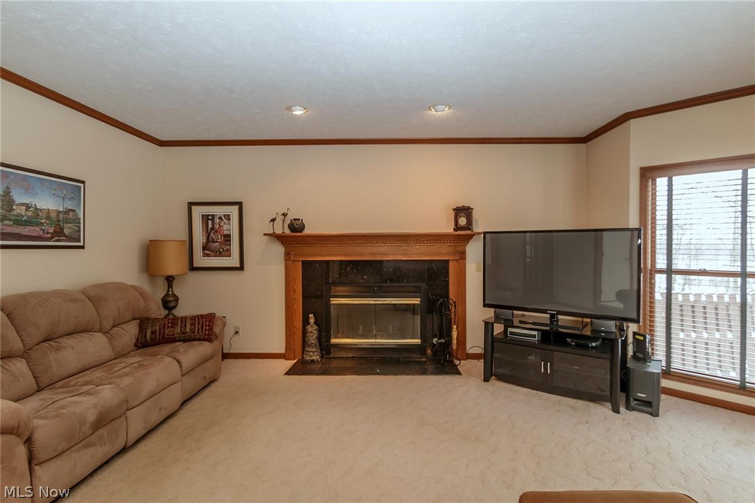 6641 Morley Road Painesville, OH 44077 - Photo 25 of 35 Gallery Image 25