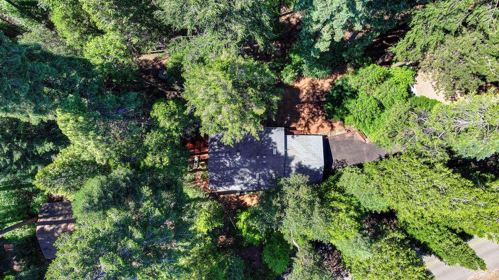 3644 Gold Ridge Trail Pollock Pines, CA 95726 - Photo 6 of 97
