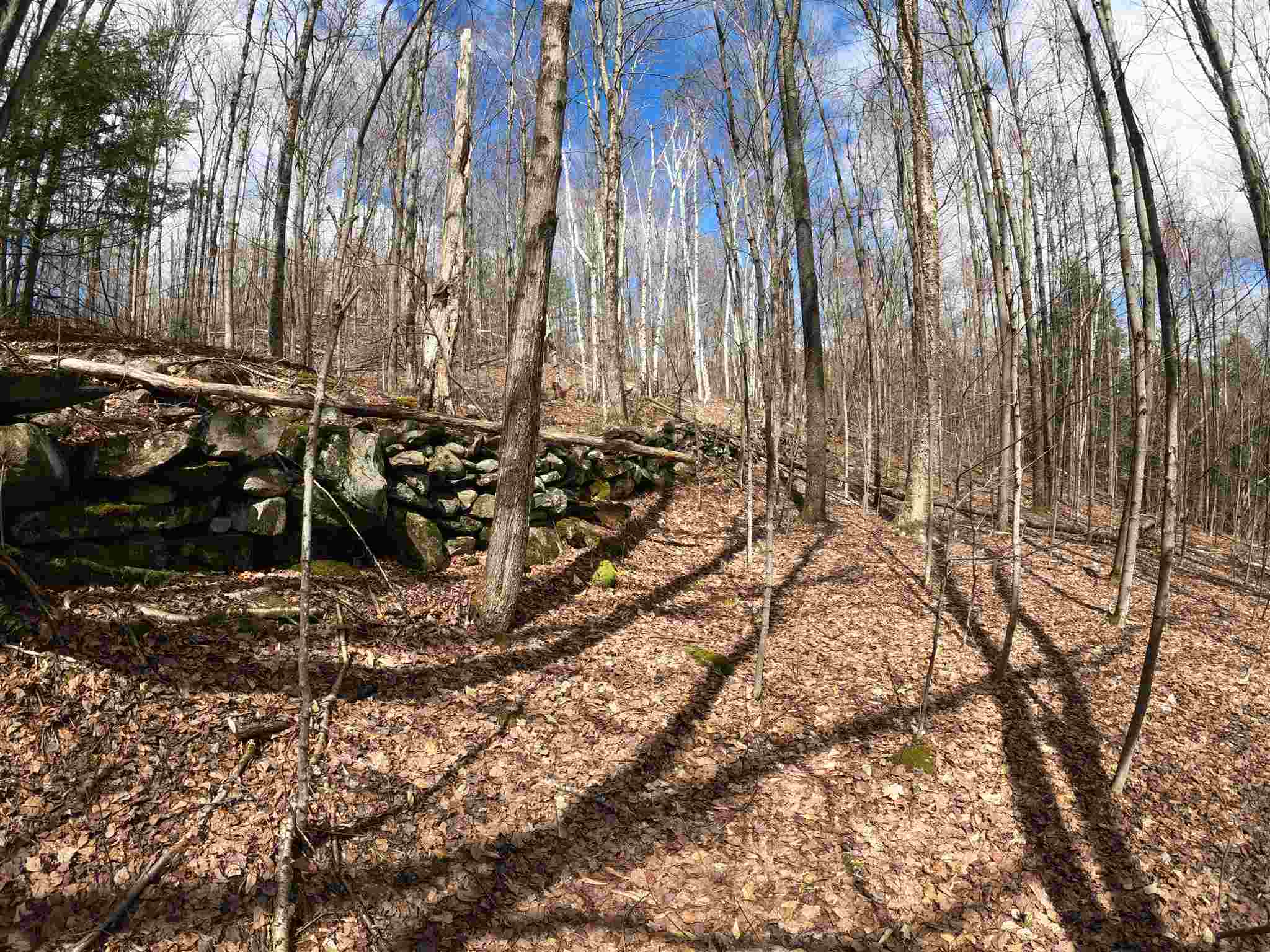Lot 1 Taylor Road East Fairfield, VT 05448 - Photo 22 of 25 Gallery Image 22