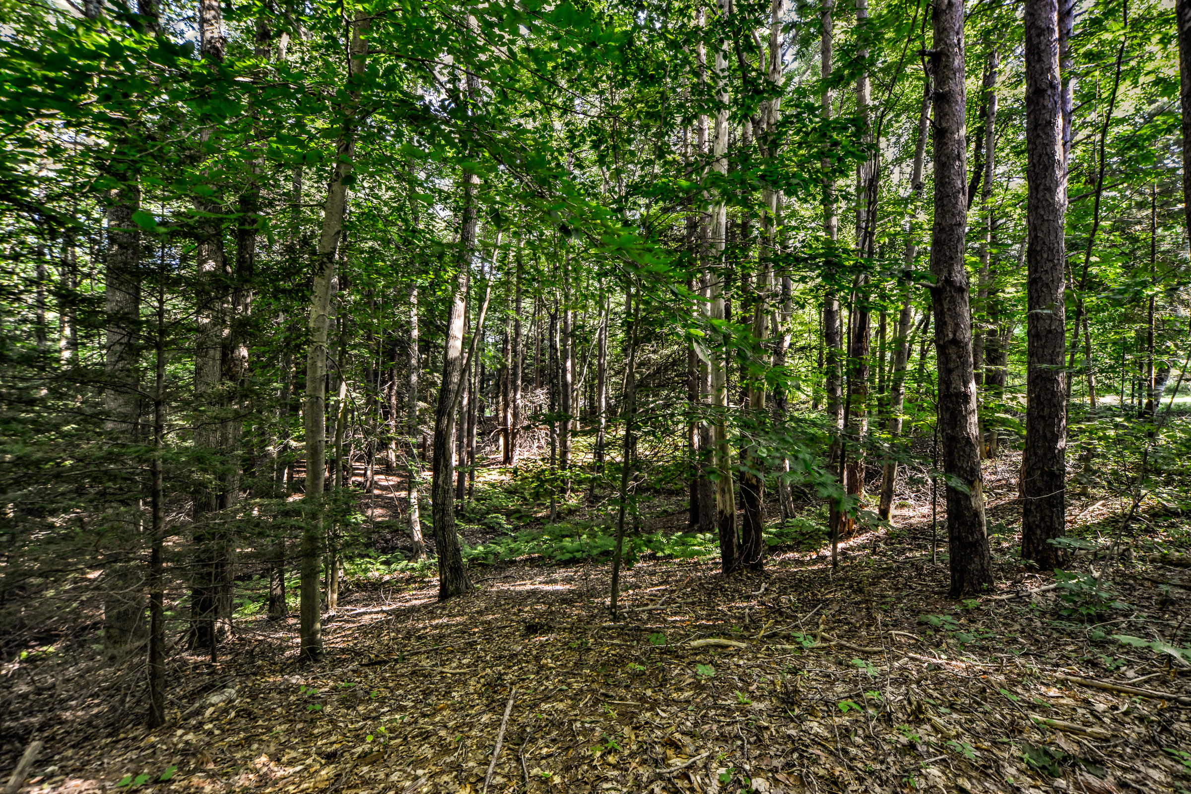 590 River Road Brunswick, ME 04011 - Photo 28 of 42 108057-31