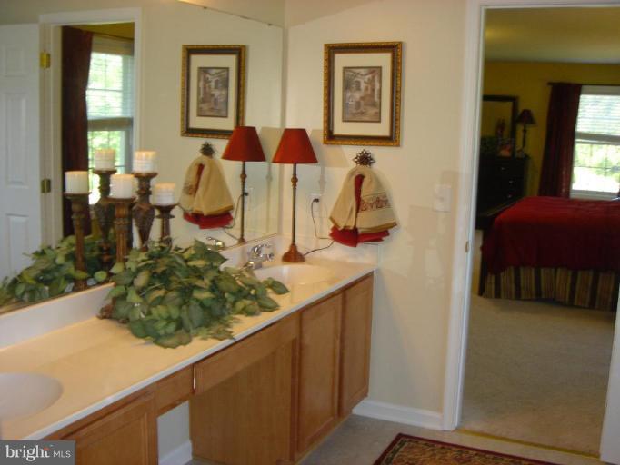 44622 Three Coves Road Hollywood, MD 20636 - Photo 15 of 19 Master Bath