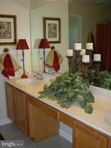 44622 Three Coves Road Hollywood, MD 20636 - Photo 16 of 19 Master Bath #2