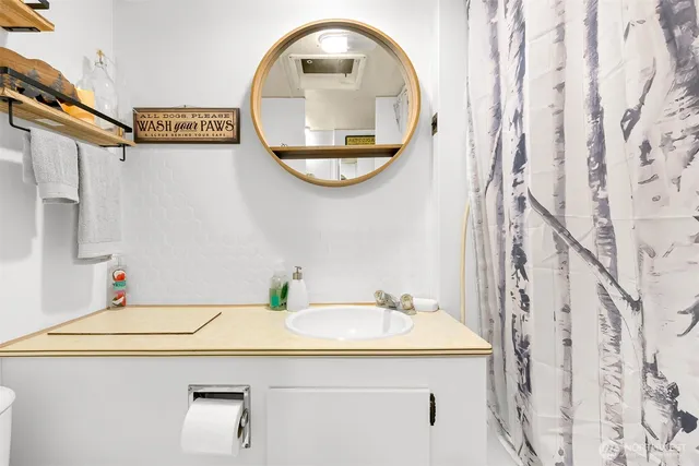 a bathroom with a sink and a mirror