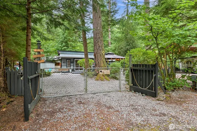 a view of a backyard with plants