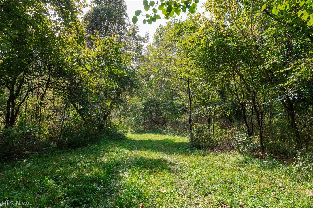 37500 Goose Run Road Dexter City, OH 45727 - Photo 13 of 50 Gallery Image 13