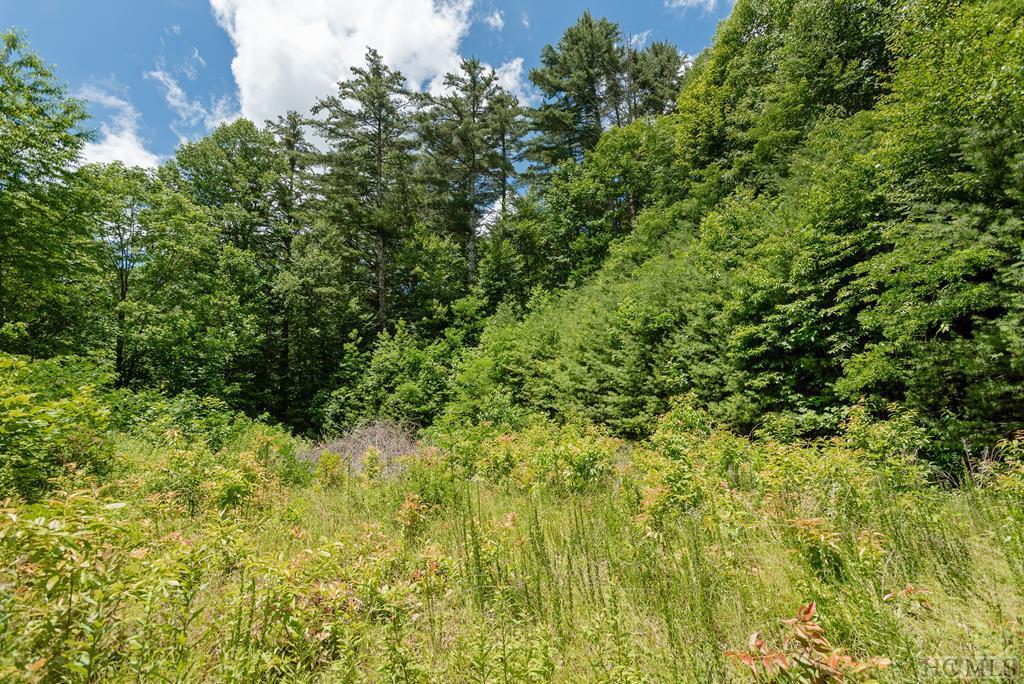102 West Marlett Road Cullowhee, NC 28723 - Photo 2 of 22 Gallery Image 2