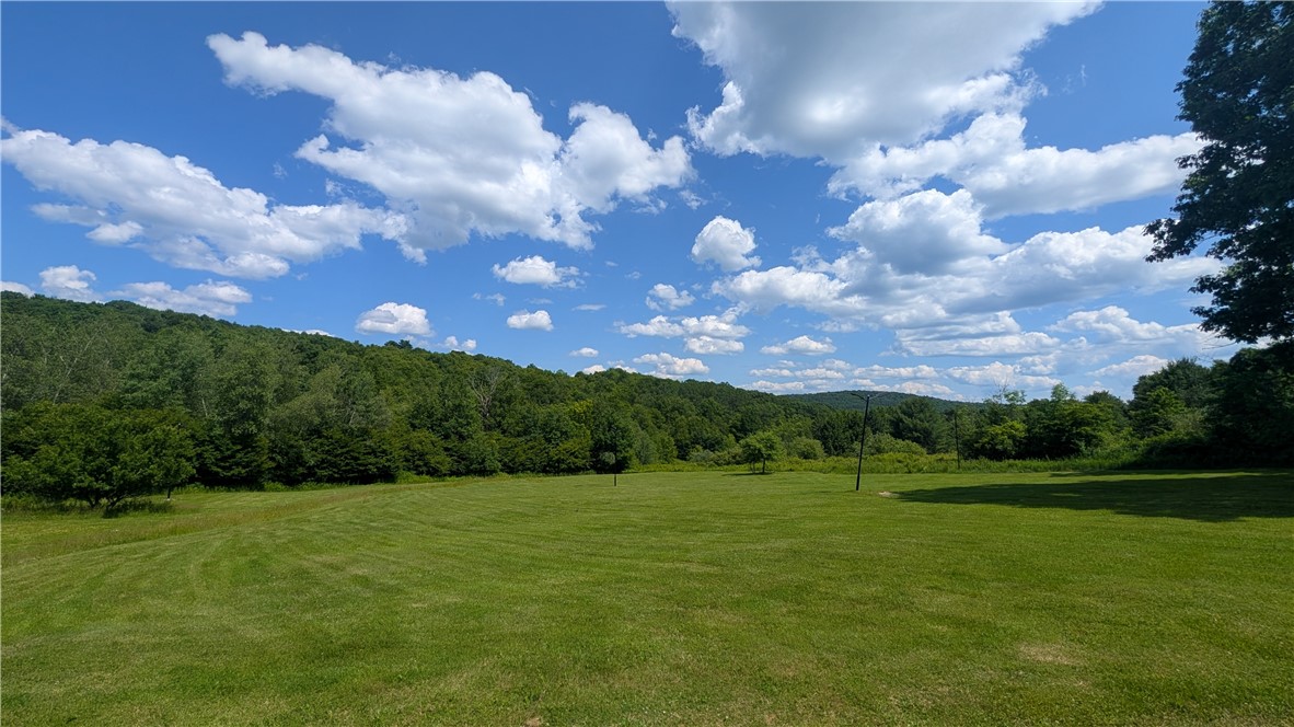 970 Clark Road Sidney Center, NY 13839 - Photo 8 of 48
