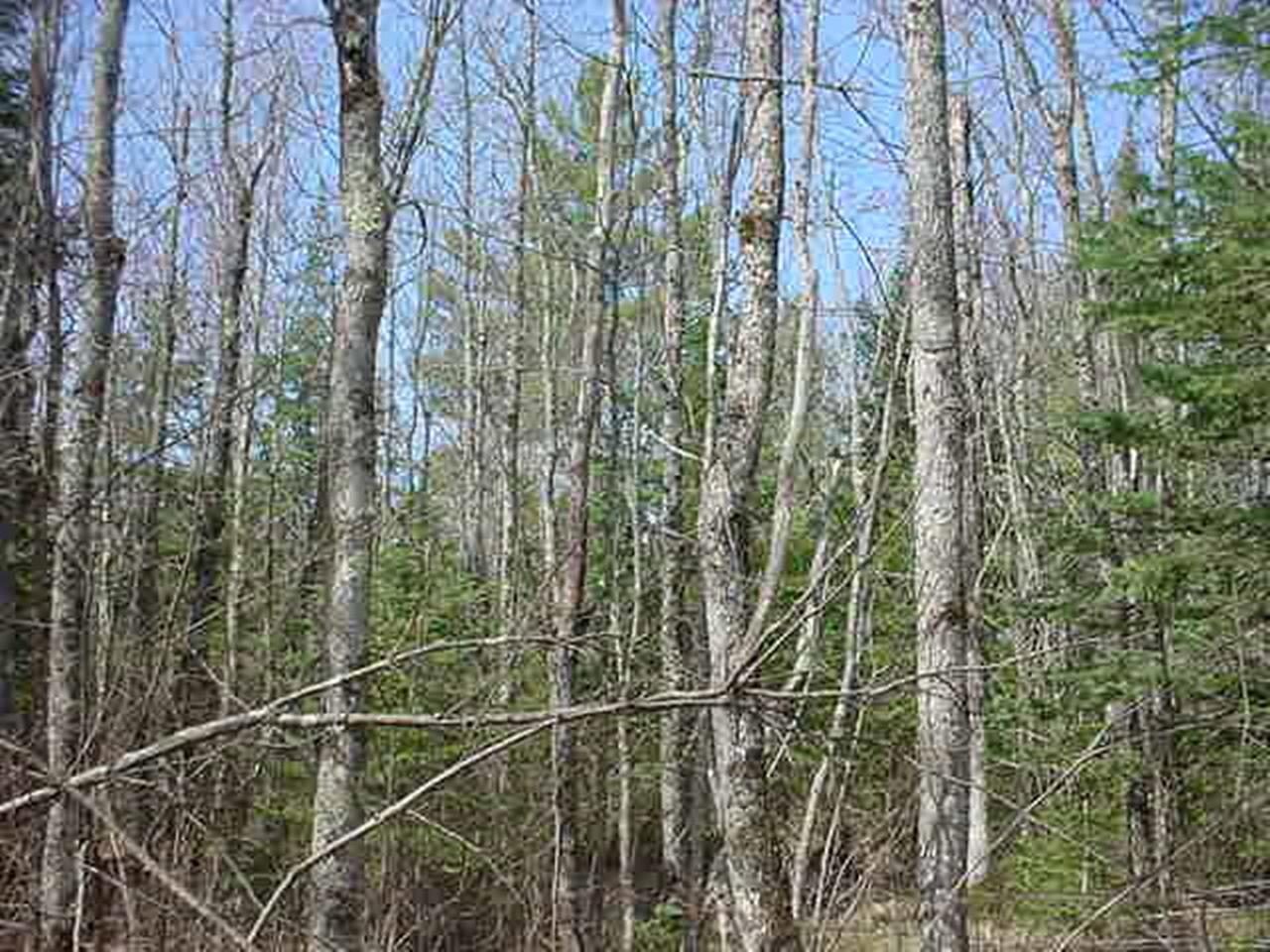 Off Flowage Road, Unit PARCEL B Hurley, WI 54534 - Photo 5 of 10 Gallery Image 5