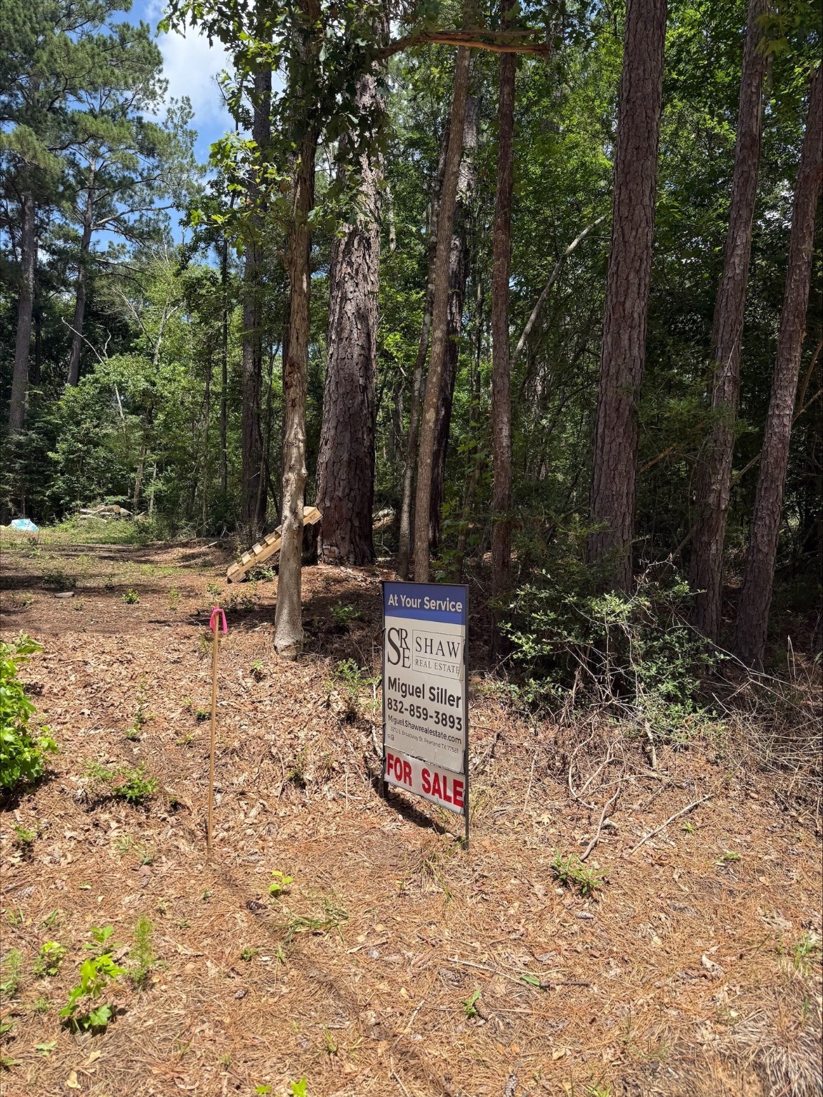 0 Non-Such Road Livingston, TX 77351 - Photo 5 of 6 a backyard of a house with lots of green space and fountain
