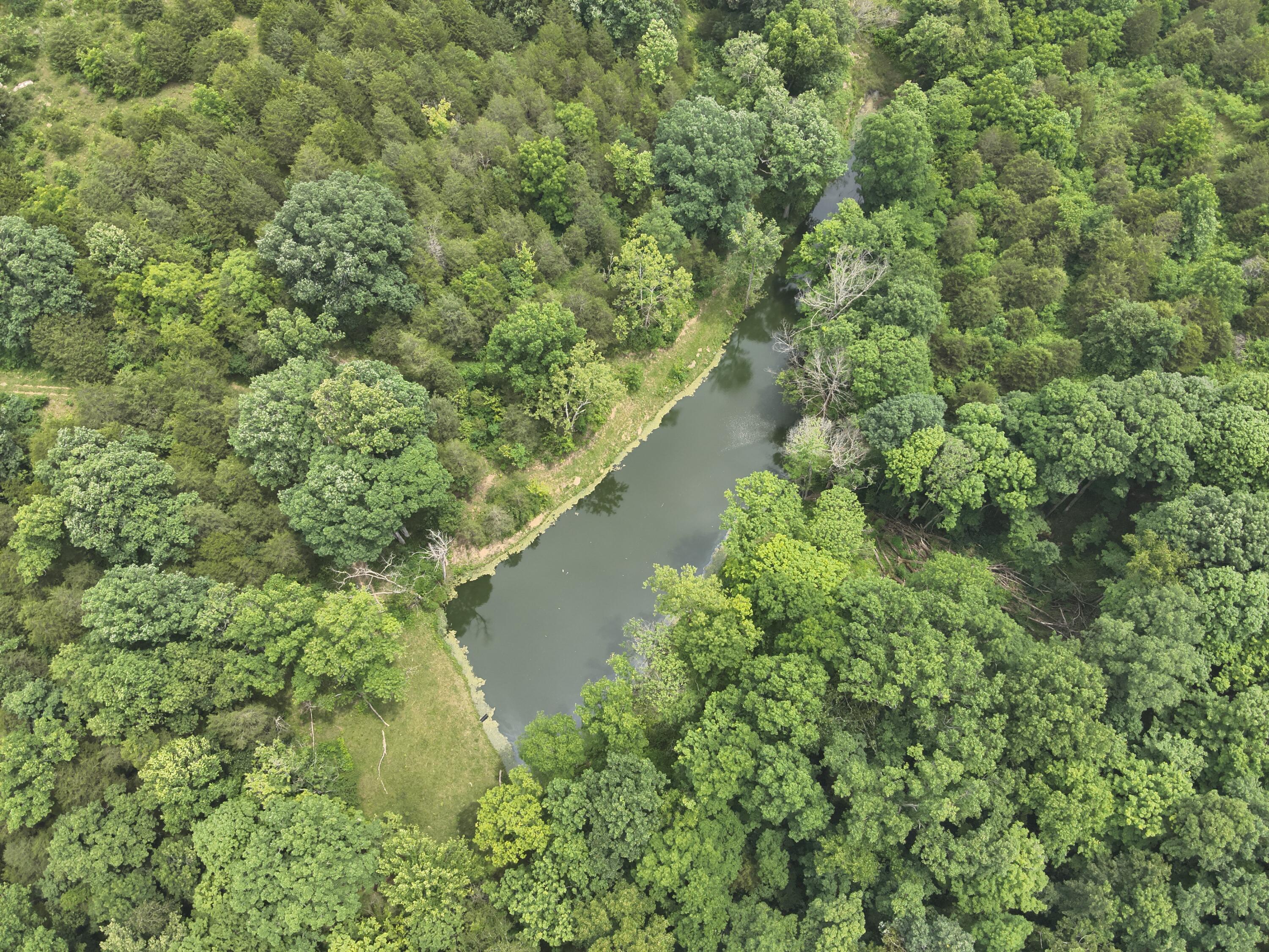 0 Kelly Ridge Road Irvine, KY 40336 - Photo 29 of 39 DJI_20260625135841_0015_V